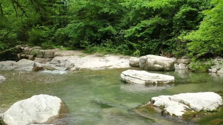  기계설계산업기사 필기 기계설계산업기사 시험응시자격 집에서 온라인으로 15주 동안 끝낸 팁