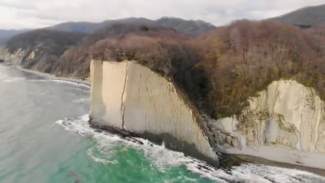  산림기사 관련학과 산림기사 자격요건 인강으로 4개월 만에 끝낸 노하우