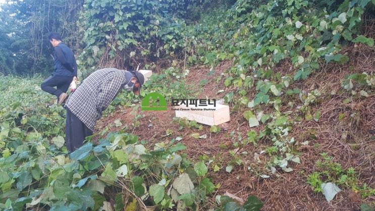  주인없는묘 처리 행정절차 및 방법