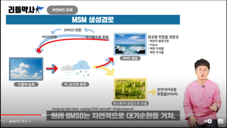  다재다능 식이유황 MSM에 대하여 … 역사, 효능, 영양제 조합, 어떤 MSM을 선택?,MSM 가성비 조합?