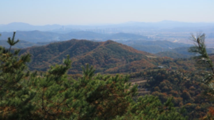 도이치모터스 주가 조작 개입 <b>특검</b> 대통령 <b>거부권</b> 수용 딜레마