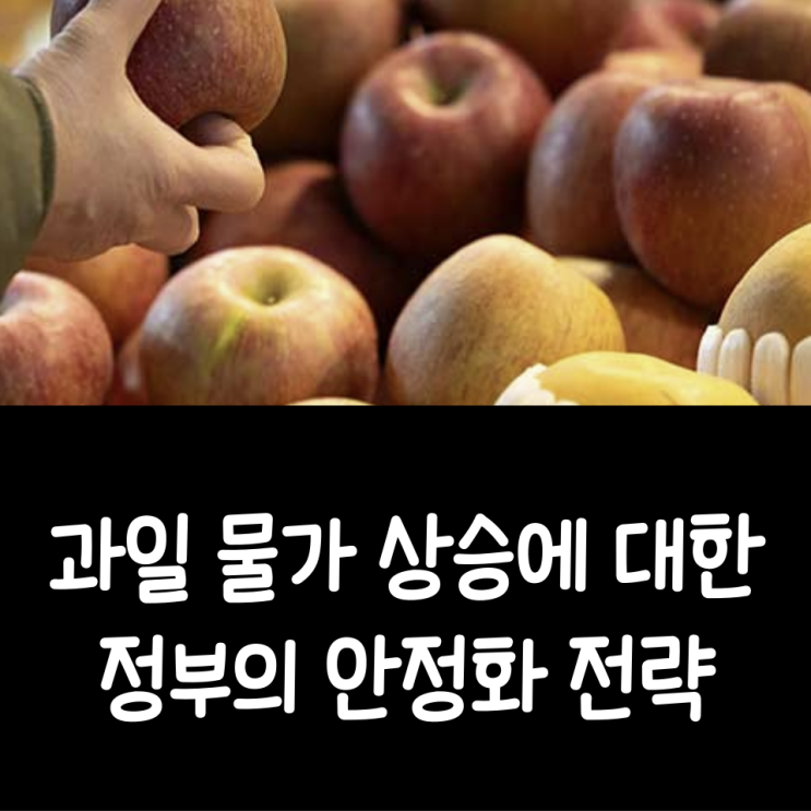 과일 물가 상승에 대한 정부의 안정화 전략