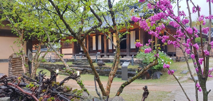  아산 외암민속마을 정보, 입장료, 저잣거리 방문 후기