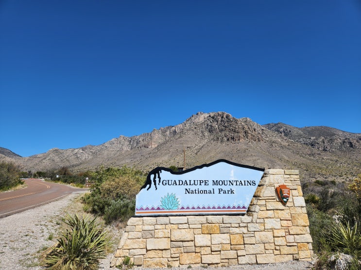  미국 텍사스 주 여행 과달루페 마운틴 국립공원 트레일 Guadalupe Mountain