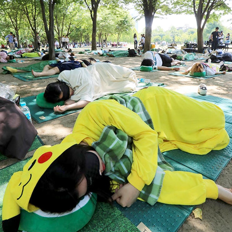 2024년 <b>한강</b> <b>잠 퍼자기 대회</b> 개최 일정, 시간, 장소 정보 총정리!!