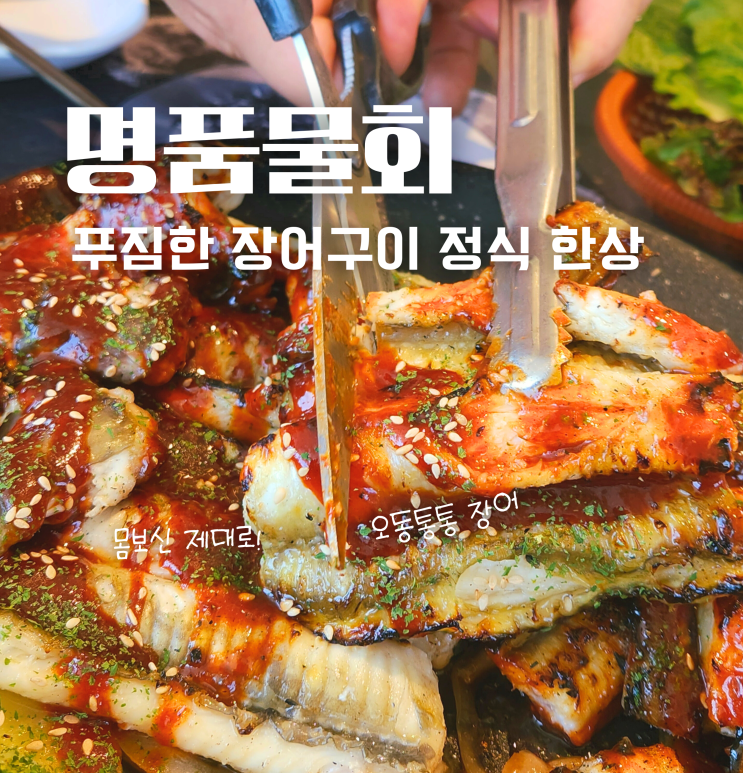  김해 명품물회 봉황동 장어구이 맛집 부모님 모시고 몸보신 점심 식사 추천