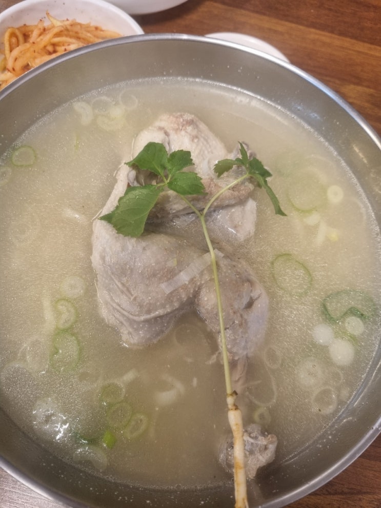  울산 남구 야음동 닭칼국수 맛집 황가닭칼국수