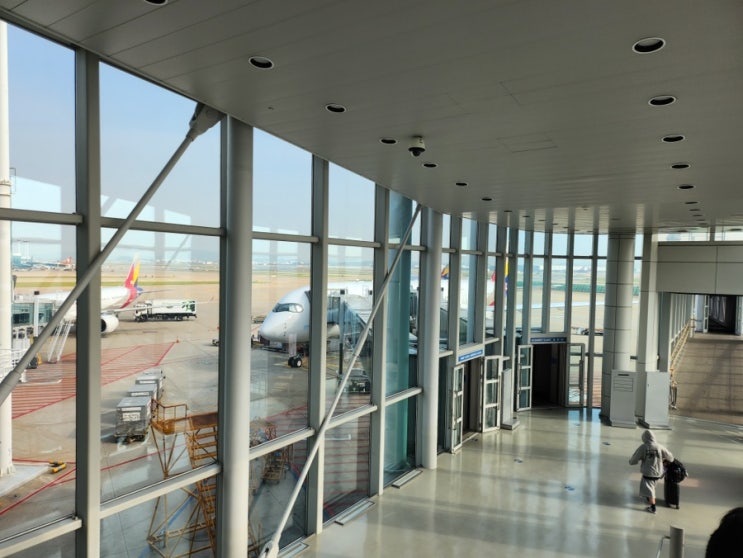  인천 프랑크푸르트 FRA 직항 아시아나 항공 OZ0541 탑승기