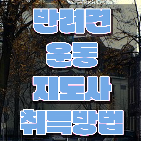  서울 강아지 운동장 , 반려견운동지도사자격증 준비한 방법 및 주목받는 이유