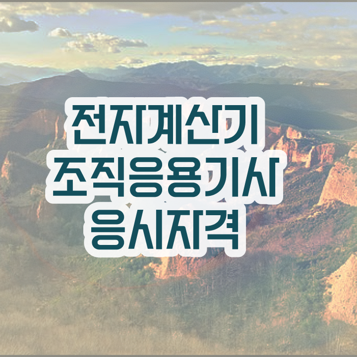  전자계산기조직응용기사 필기과목 전자계산기조직응용기사 자격요건 온라인 과정으로 편하게 끝냈던 과정