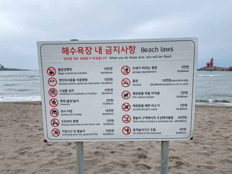  이호테우 해변에서 하지 말아야 할 행위 총정리