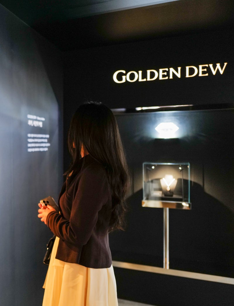 한지민 주얼리 GOLDENDEW 골든듀의 다이아몬드 주얼리35주년 기념 HeritageandBeyound 성수 팝업 오우드 : 네이버  블로그