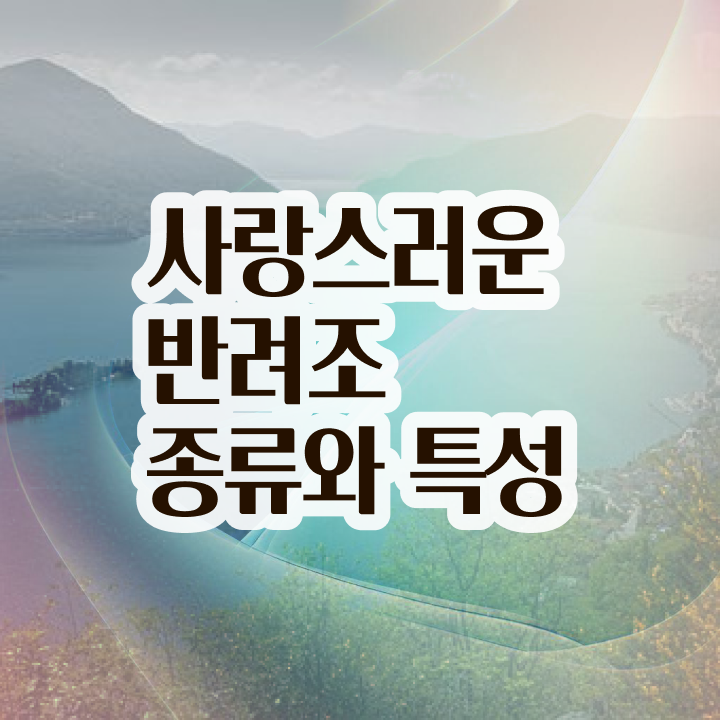  사랑앵무 수명 , 반려조관리사 자격증 비용없이 온라인으로 취득한 과정 , 채용 정보