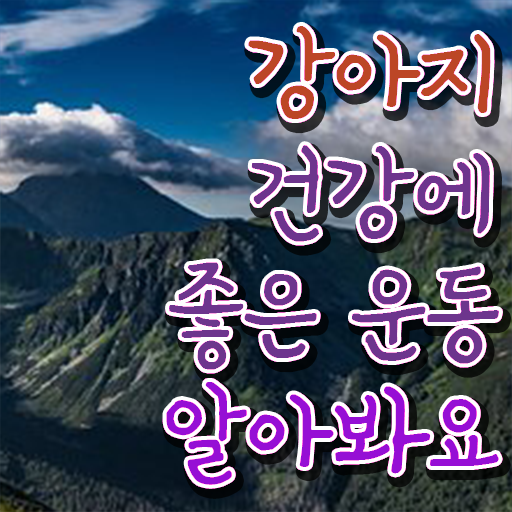  반려견운동지도사 전문가 , 온라인으로 간단히 반려견운동지도사 취득했던 후기