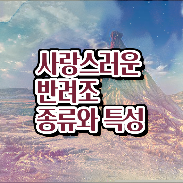  코뉴어앵무새가격 , 반려조관리사 자격증 간단하게 합격 전략 소개합니다