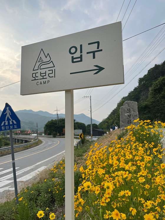 사진 2