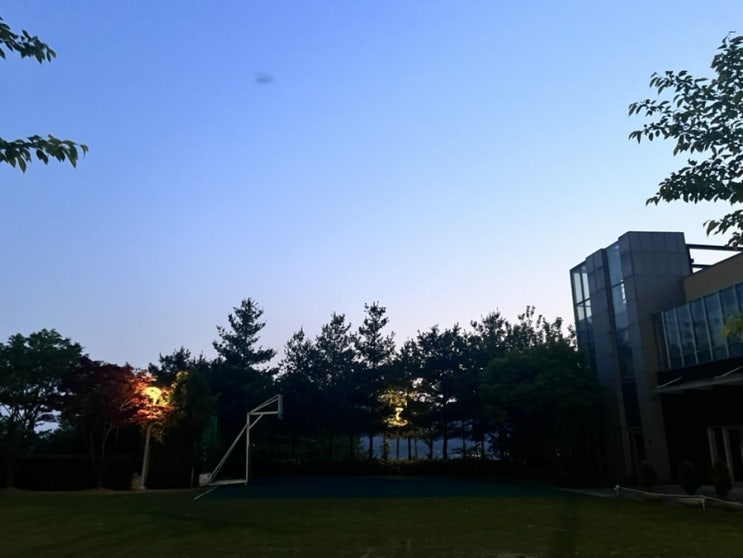  [2024-2] 교실 일기: 던져지면 비로소 보이는 것들, 팔씨름 소동