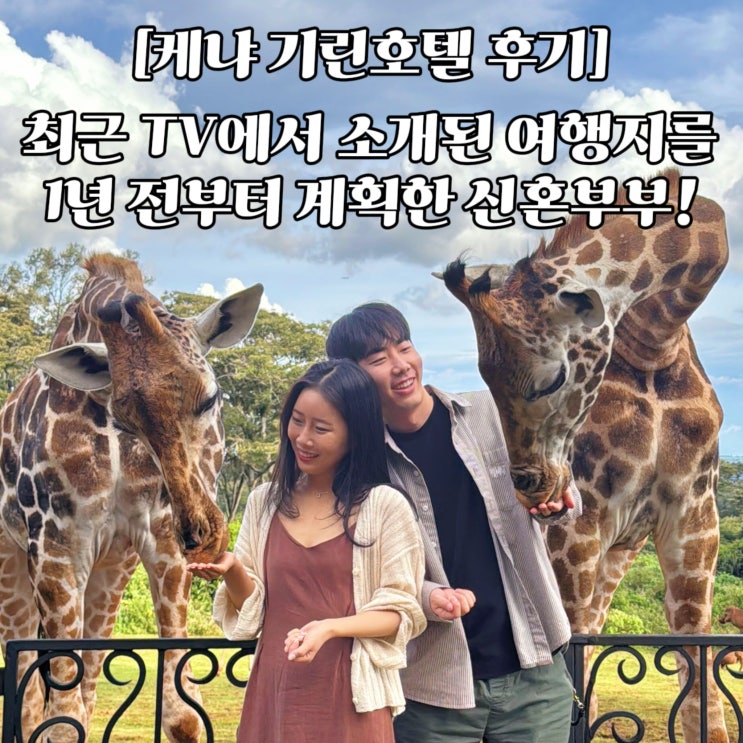  김태호 PD님 여기 봐주세요! 최근 지구마불 세계여행 2에서 다녀온 여행을 1년 전부터 계획한 커플이 있어요! (Feat. 케냐 기린호텔, 포르투)