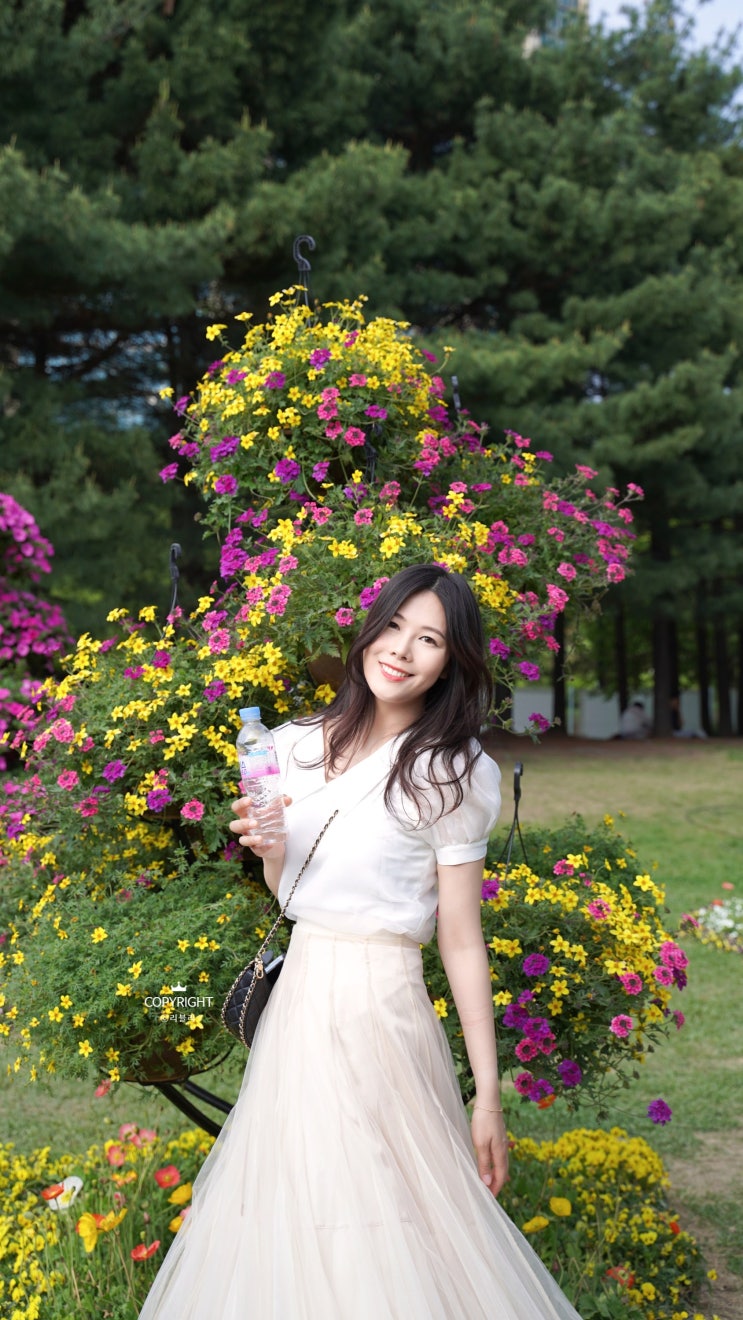 일산 고양꽃박람회 가는길 포토존 추천 일산 고양꽃박람회 가는길 포토존 추천