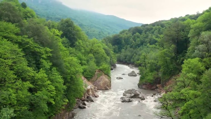 장수군문학심리상담사2급 , 문학심리상담사 자격증 비용없이 온라인으로 취득 노하우 핵심 정보