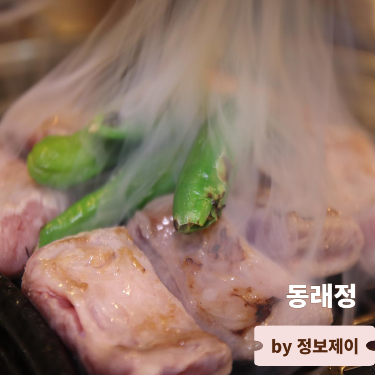  목동 맛집 유튜버 정육왕 픽 동래정 목동점