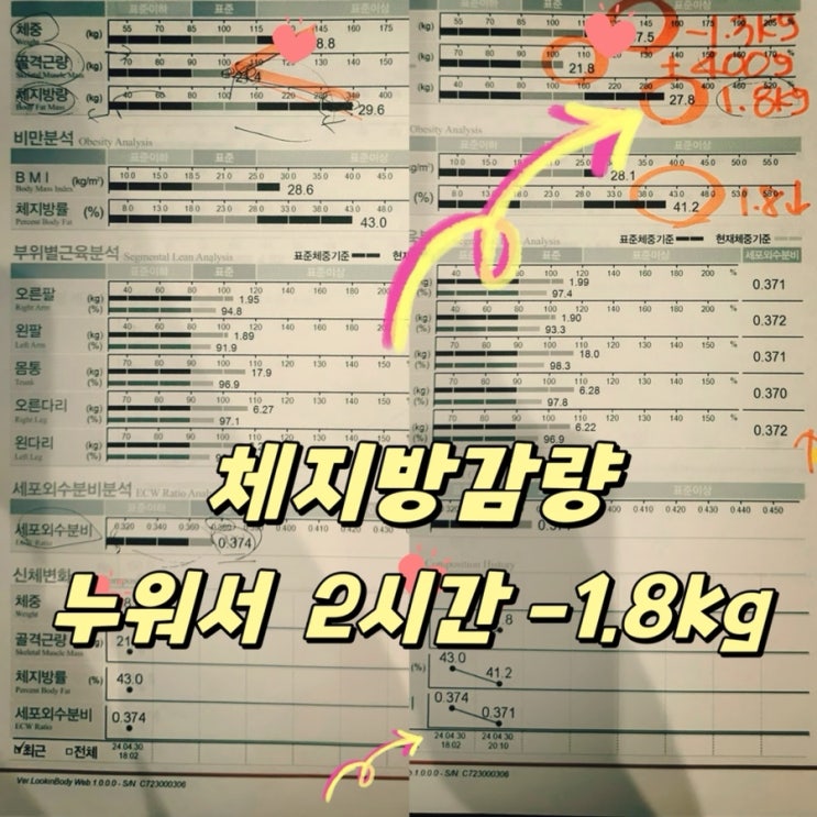  살빨리빼는법 수원다이어트 인계동 더마름다이어트 수원인계점