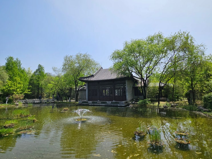 경기도 수원여행 (월화원 : 효원공원내에 위치한 중국 전통정원이자 경기도와 광동성의 우정의 증표) 경기도 수원여행 (월화원 : 효원공원내에 위치한 중국 전통정원이자 경기도와 광동성의 우정의 증표)