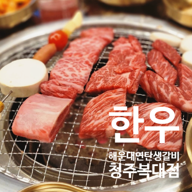  흥덕구맛집 부드럽고 살살녹는 한우 해운대연탄생갈비 청주복대점
