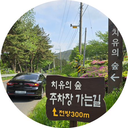 사진 2