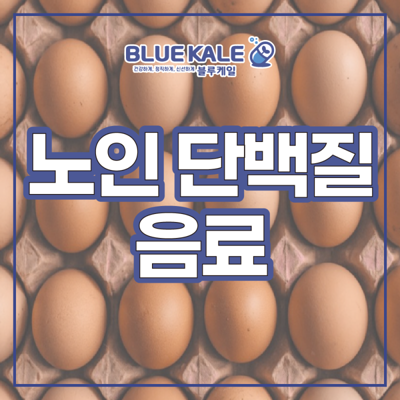 노인 단백질 음료 필요한 영양소를 효과적으로 유지할 수 있어요