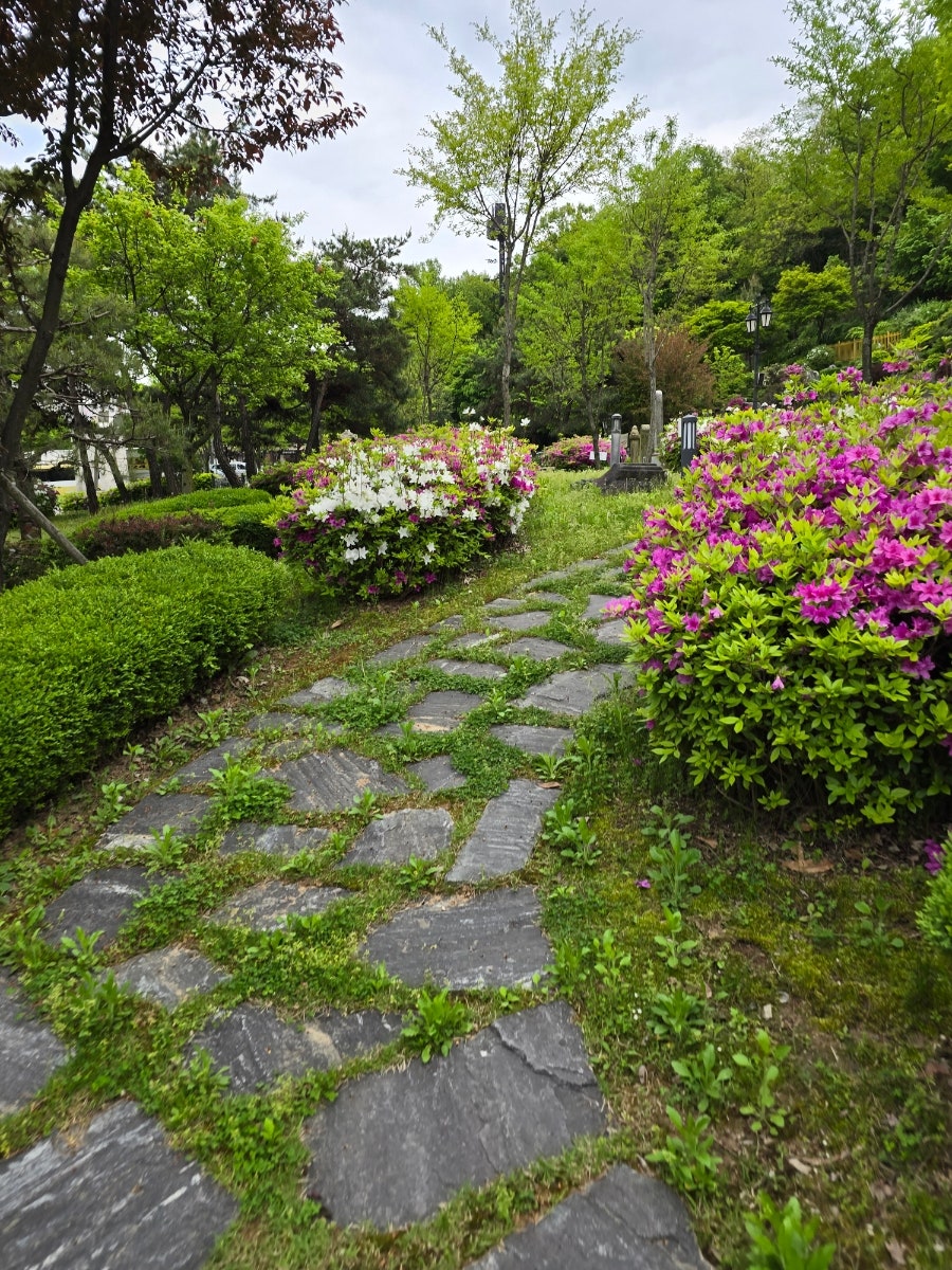 삼거리옛날민속집 사진 6