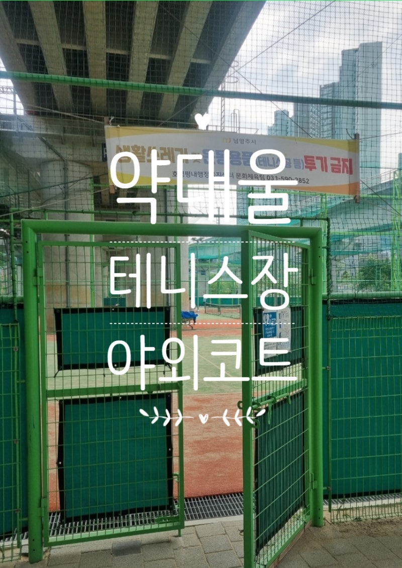 사진 4