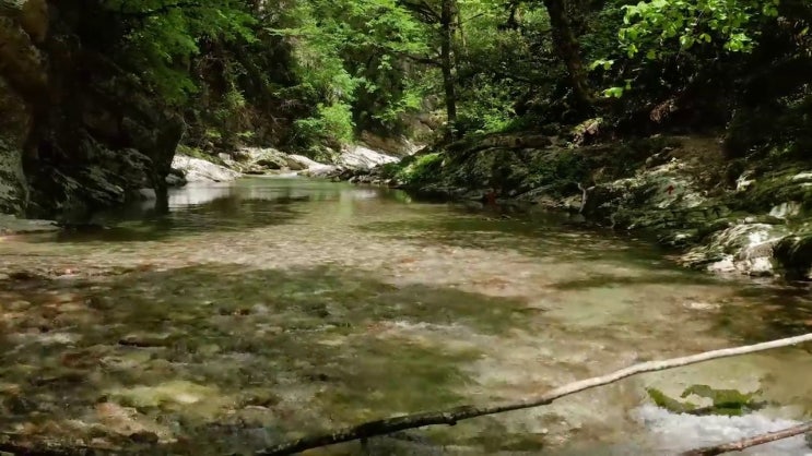  왁싱샵 질염 , 왁싱샵창업 창업 최우선으로 공부해야 하는 조건들 순서대로 완벽정리 했어요