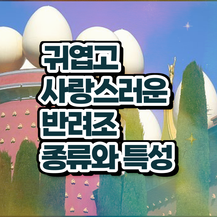  말하는 앵무새 분양 , 반려조관리사 자격증 응시자격 없이 준비한 방법 , 고용 전망