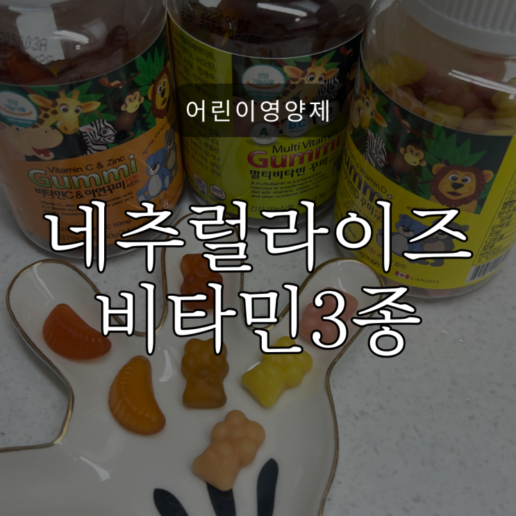  어린이영양제 네추럴라이즈 꾸미 내돈내산 비타민 3종