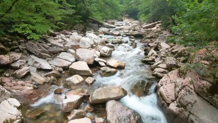  2023 정보보안기사 정보보안기사 자격요건 온라인 수업으로 반 년만에 갖추는 전략