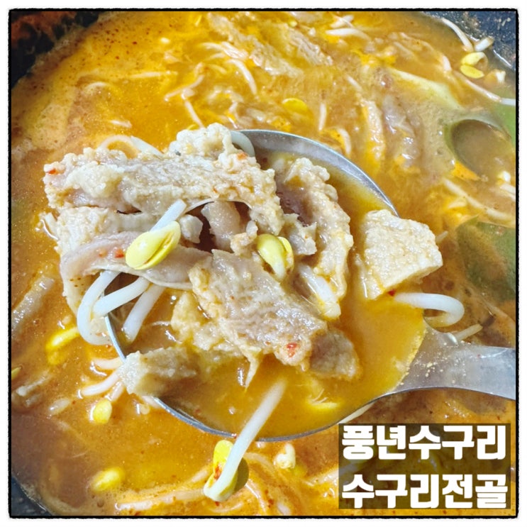  풍년수구리 수구리전골 대전수구레 맛집 수구레전골 밀키트 맛 후기
