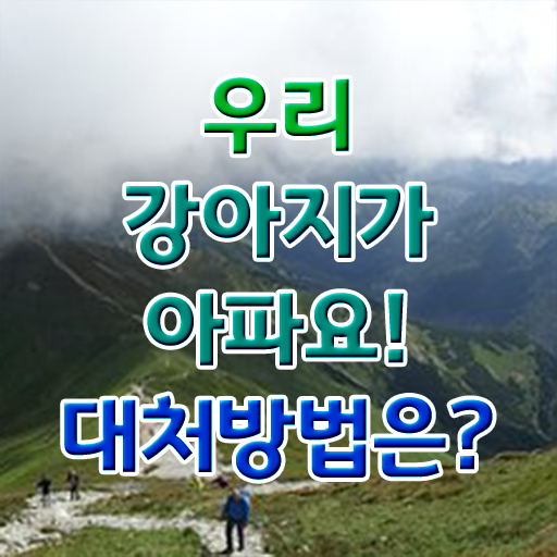  반려동물관리사인터넷강의 , 반려동물관리사 자격증 1급,2급 동시에 합격정보 및 구인,구직 정보