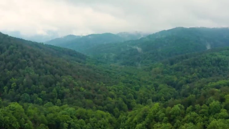  바이오화학제품제조산업기사 학점은행제 바이오화학제품제조산업기사 취득자격 인강만 듣고 4개월 만에 갖춘 팁
