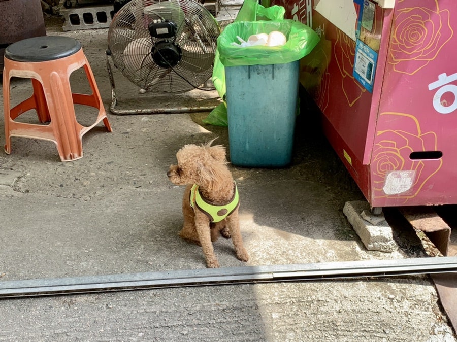 등선집 사진 5