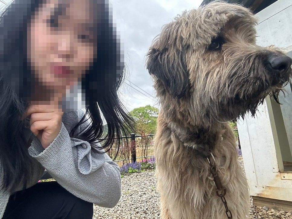 톡톡민박 사진 4