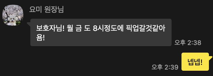 사진 2