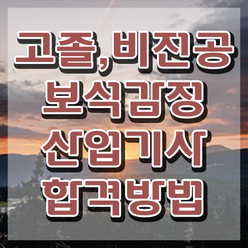  보석감정산업기사 직업 보석감정산업기사 응시조건 인강으로 간단하게 완료한 노하우
