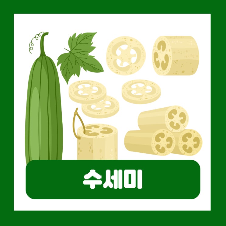  수세미 효능 수세미즙 수세미차 임산부 부작용 작두콩 궁합