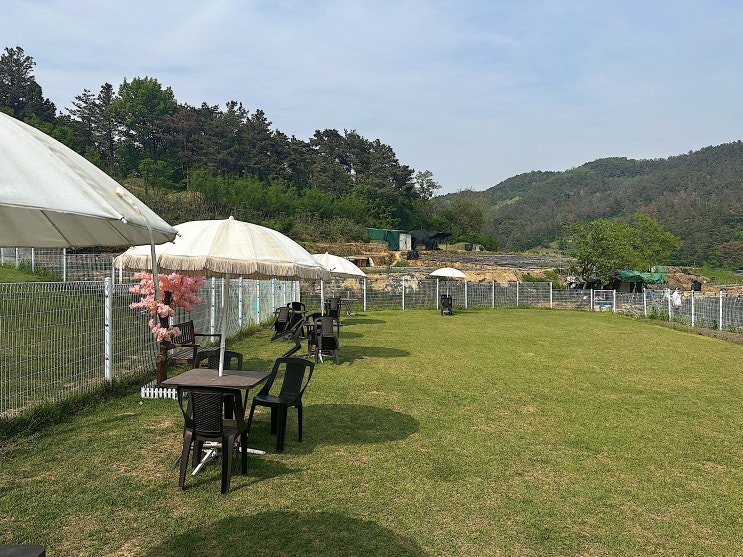  대구 다사 애견운동장 애견카페 동그라운드 방문 꿀팁, 외부 음식 반입 가능