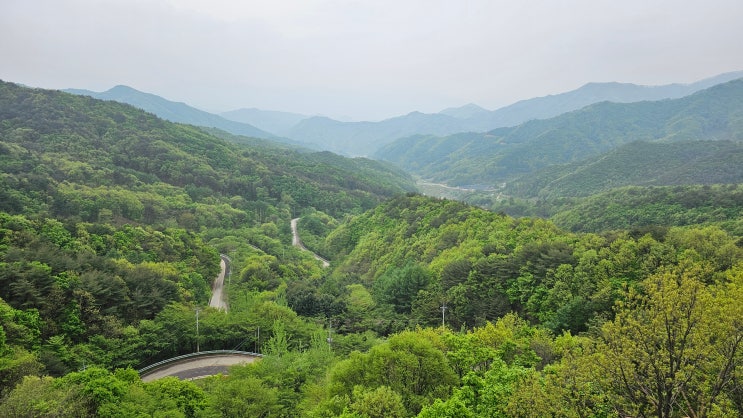  도마령 상용정 가봄