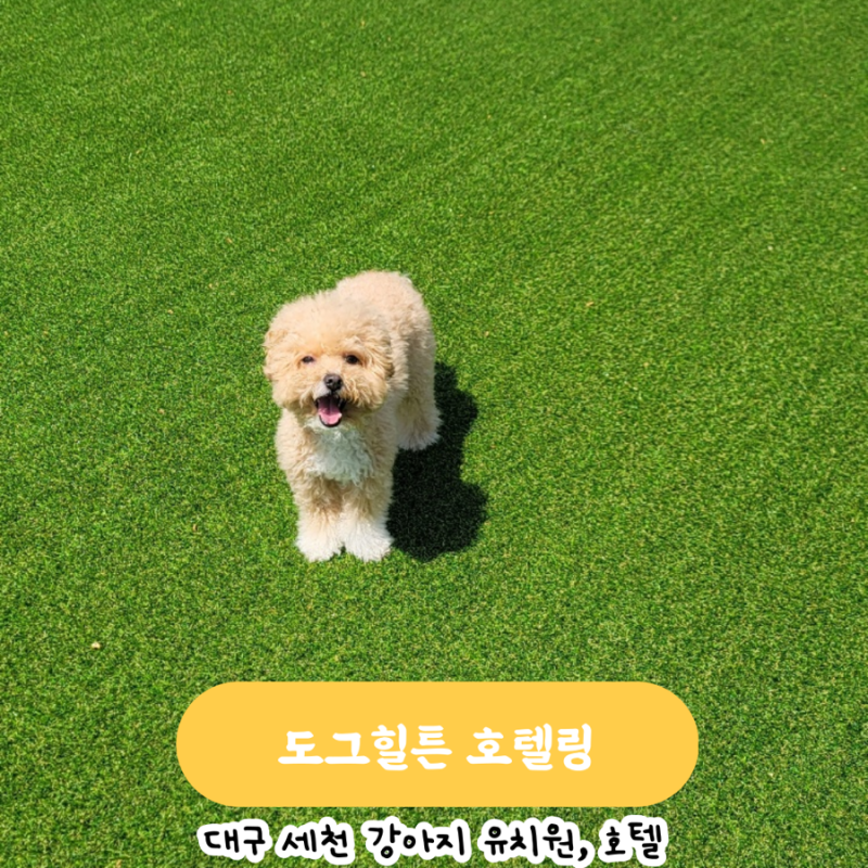 사진 5