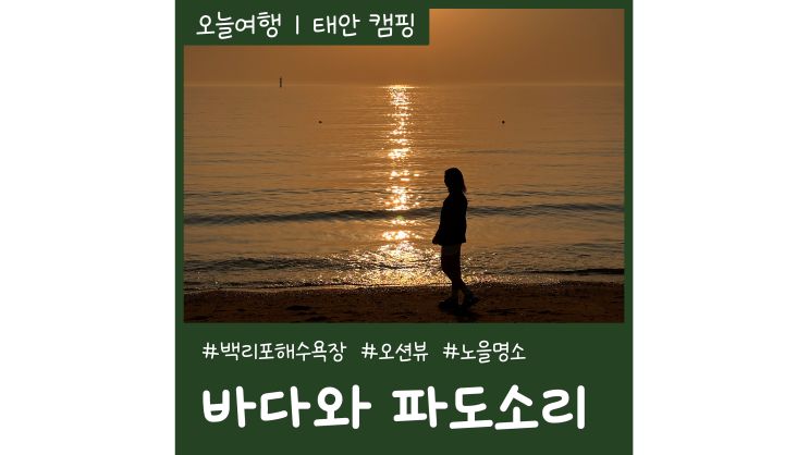태안캠핑장 바다와파도소리 오션뷰 애견동반 노지캠핑장 추천 태안캠핑장 바다와파도소리 오션뷰 애견동반 노지캠핑장 추천