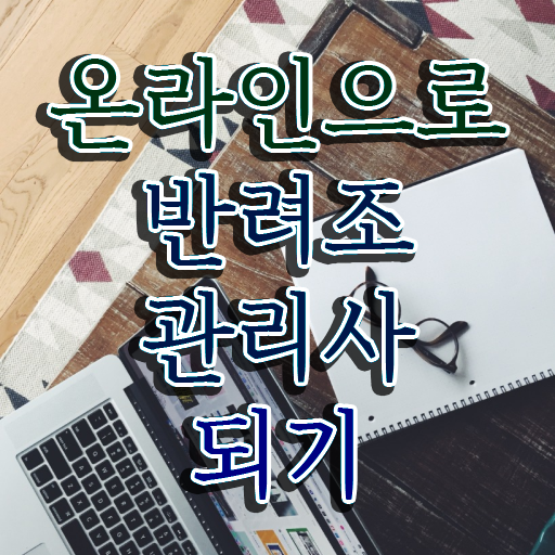  서울앵무새분양 , 반려조관리사 자격증 쉽고 빠르게 취득한 노하우 확인해봅시다