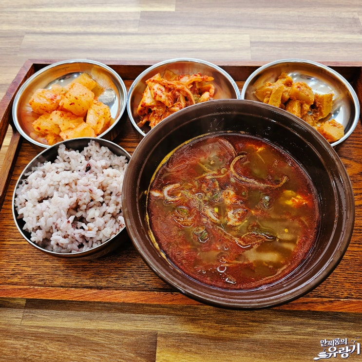  모란 윤식당 골목식당 대파 육개장 착한 모란 밥집